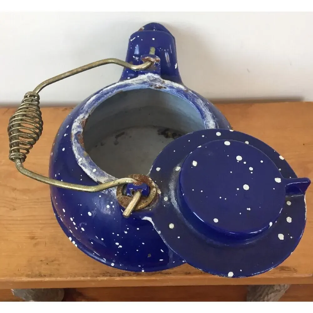 Vtg Cast Iron Blue Enamel Speckleware Wood Stove Top Heavy Duty Water Kettle
